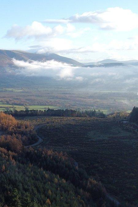 Whinlatter Forest Park